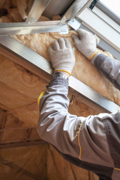 Best Spray Foam Insulation in Carterville, MO