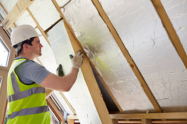 Best Specialized Insulation Services in Carterville, MO