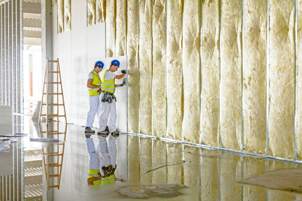Best Fiberglass Insulation in Carterville, MO